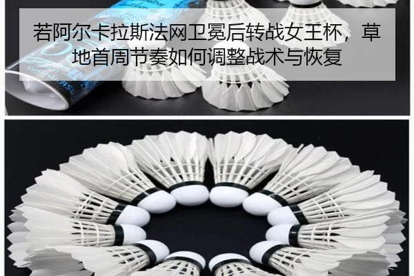 若阿尔卡拉斯法网卫冕后转战女王杯，草地首周节奏如何调整战术与恢复
